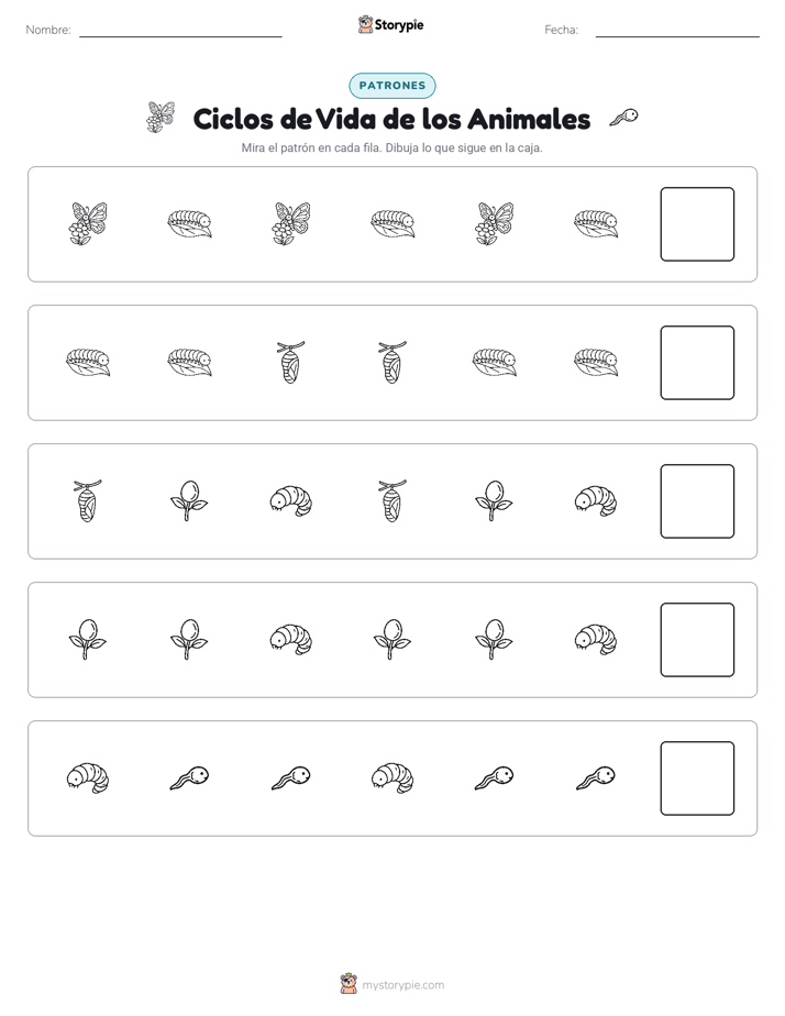 Patrones