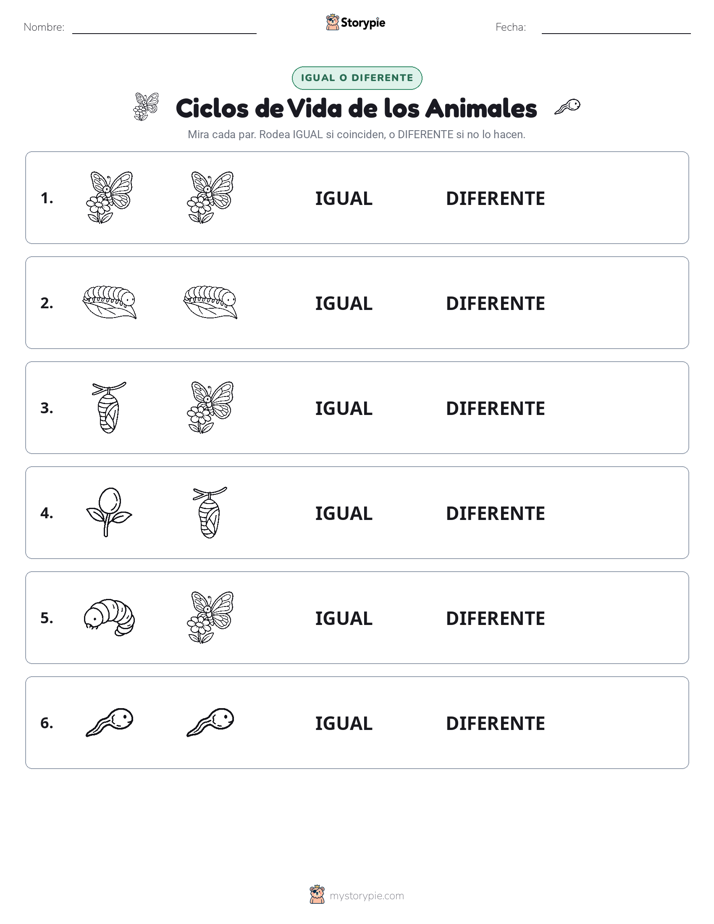 Igual o Diferente