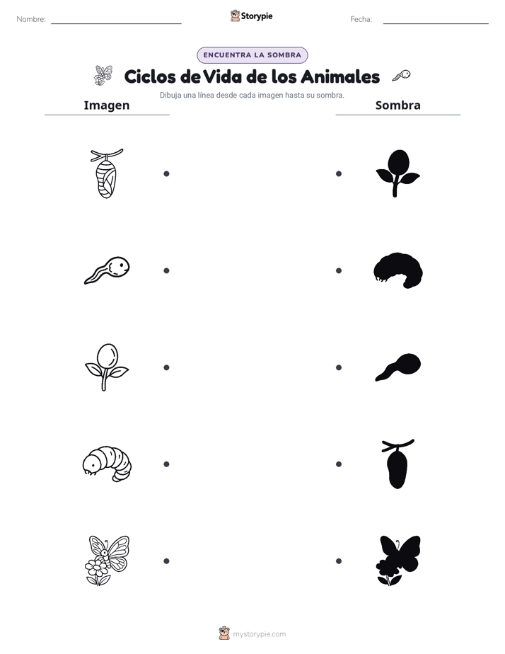 Coincidencia de Sombras