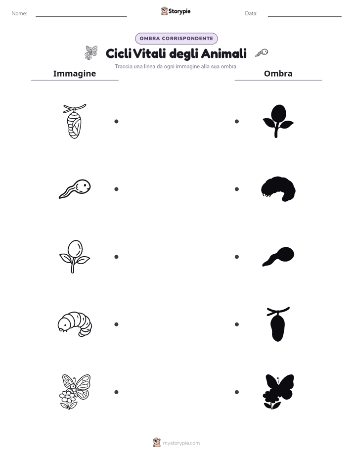 Corrispondenza Ombra