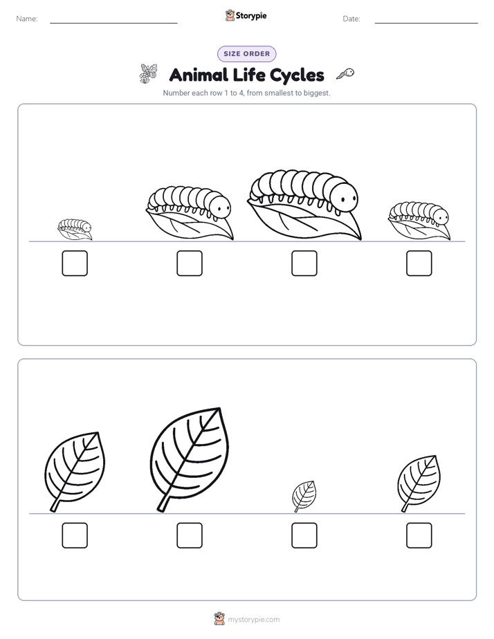 Size Order
