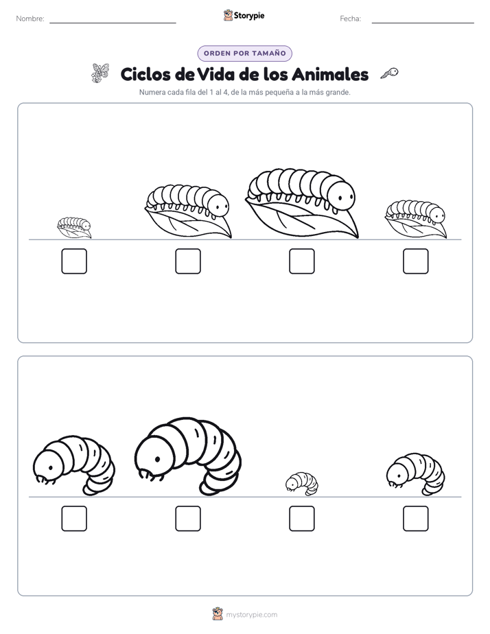 Orden de Tamaños