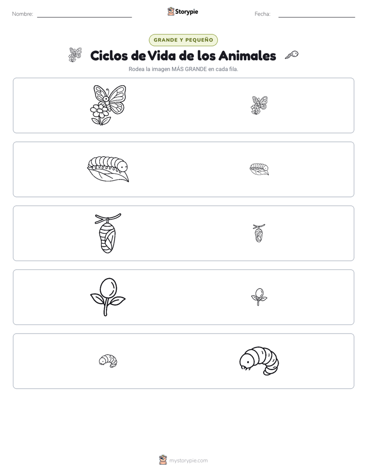 Clasificación