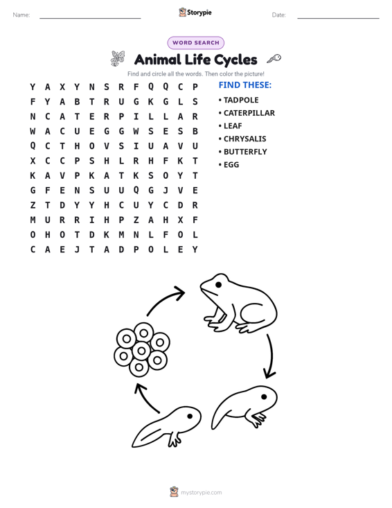 Word Search