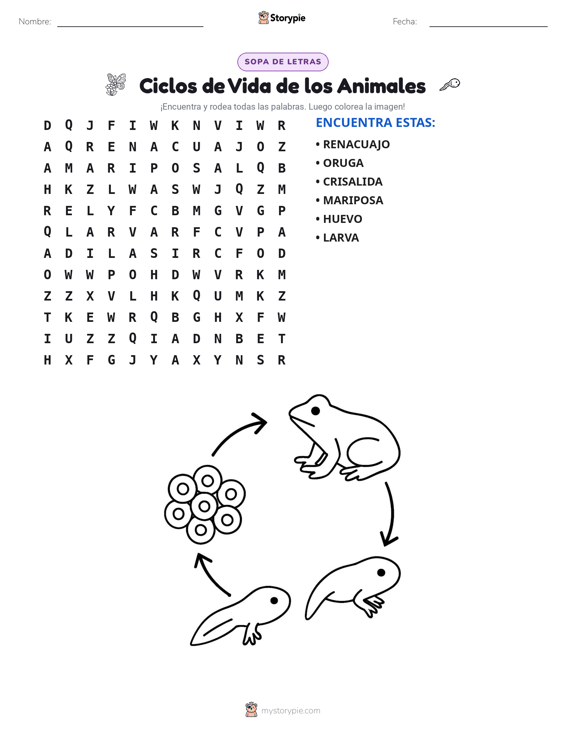 Sopa de Letras