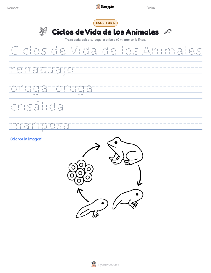 Práctica de Escritura