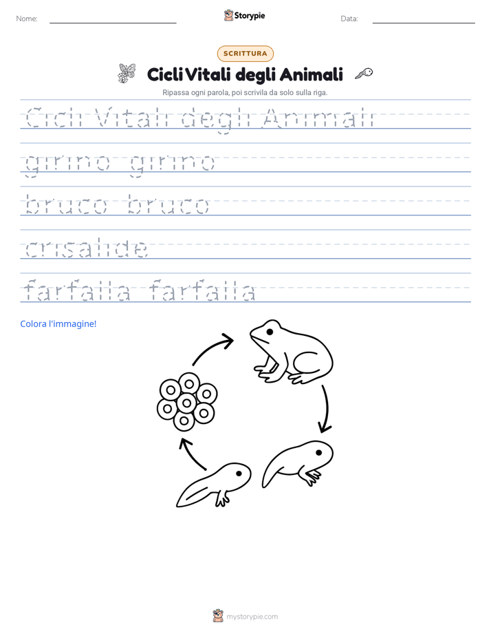 Pratica di Scrittura