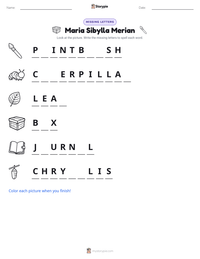 Maria Sibylla Merian printable worksheet preview