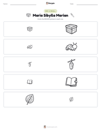 Maria Sibylla Merian printable worksheet preview