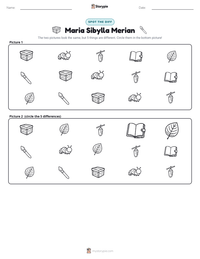 Maria Sibylla Merian printable worksheet preview