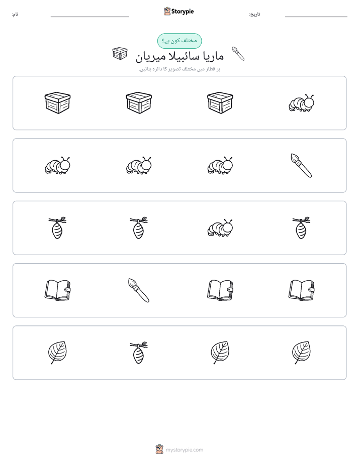 عجیب ایک