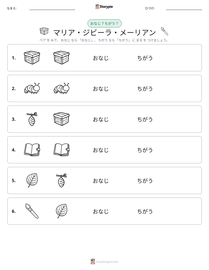 同じか違うか