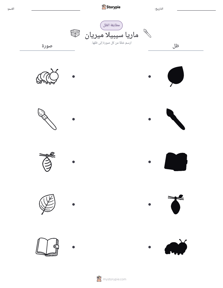 مطابقة الظل