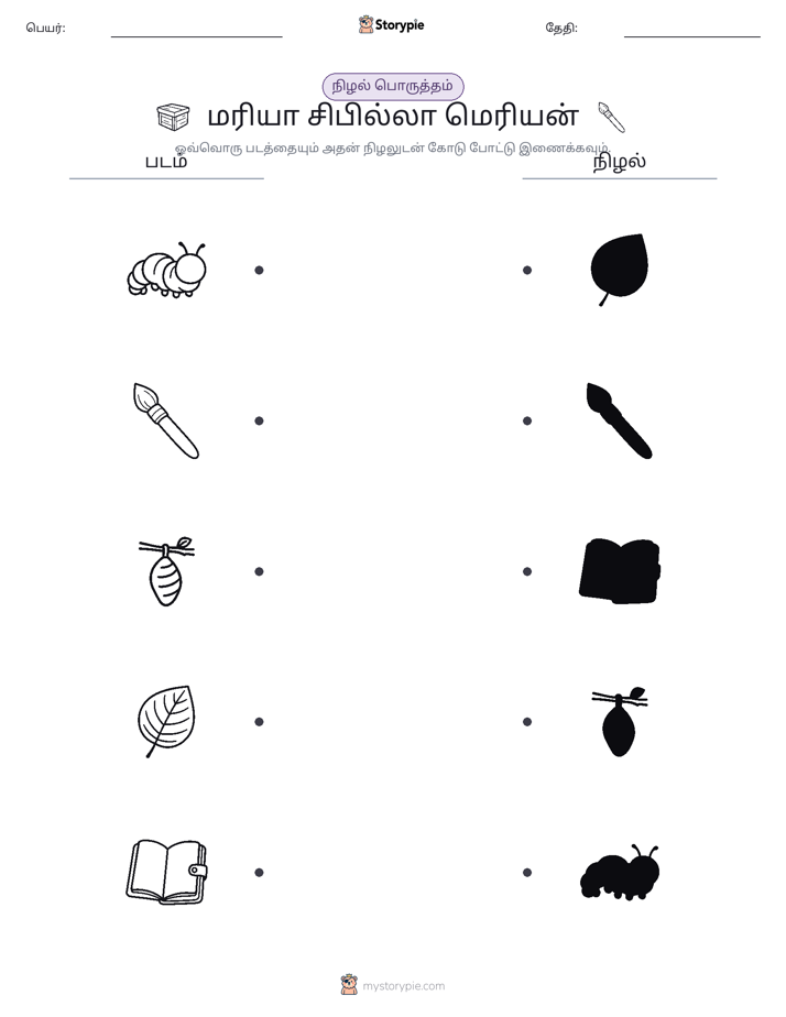 நிழல் பொருத்தம்