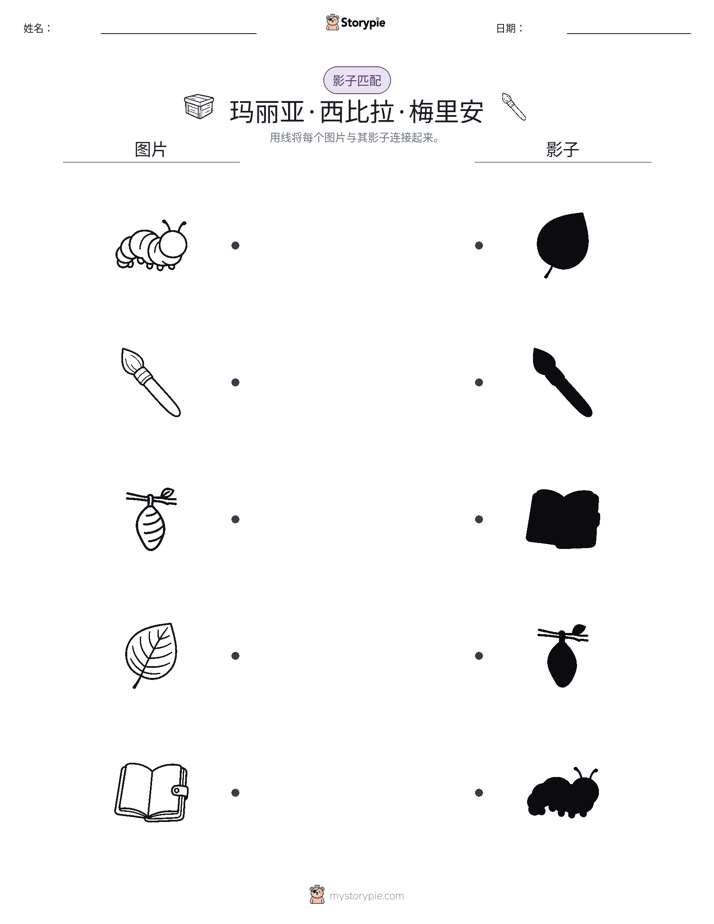 影子匹配