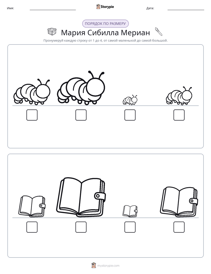 Размеры в порядке