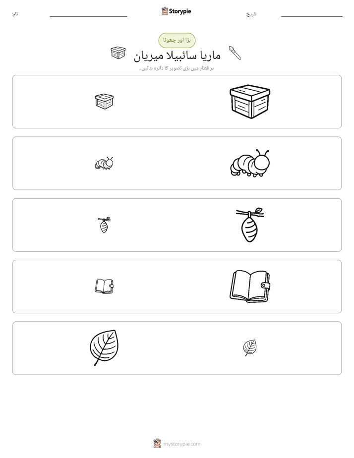 ترتیب دینا