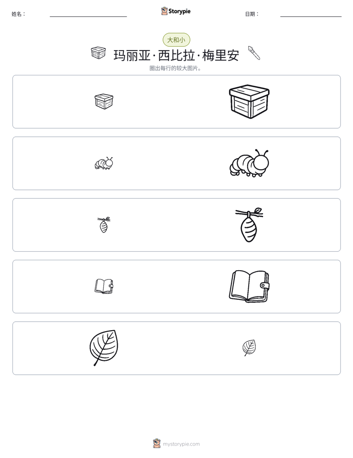分类