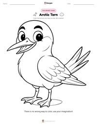 Arctic Tern coloring page for kids