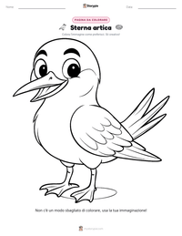 Pagina da colorare di Sterna artica per bambini