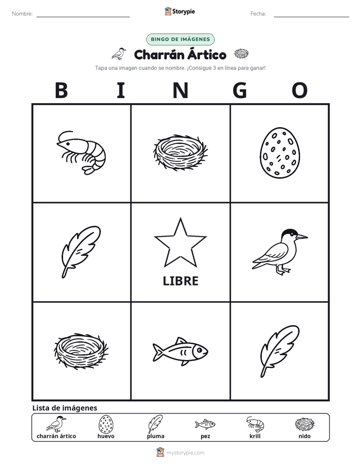 Bingo de Imágenes