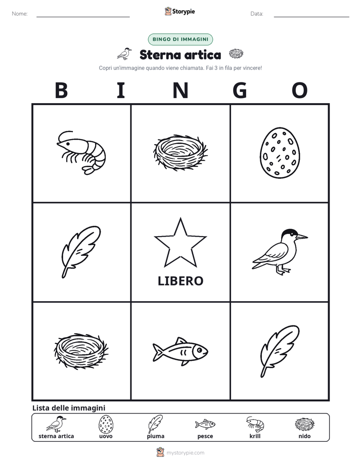Bingo delle Immagini