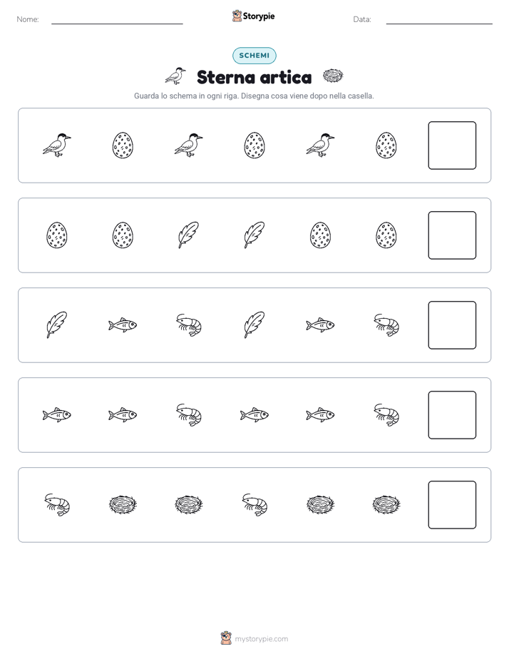 Pattern