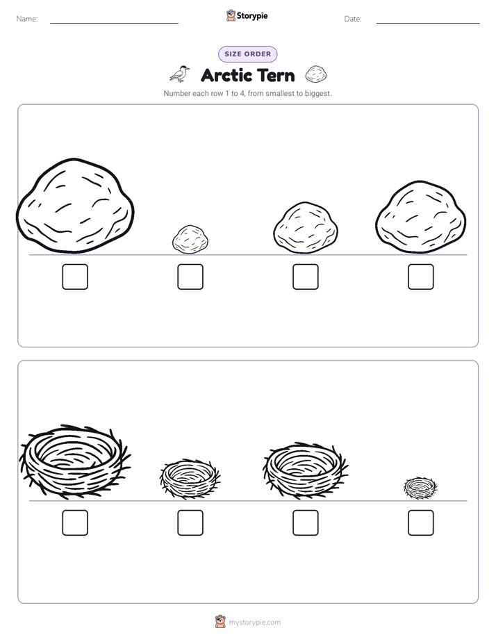 Size Order