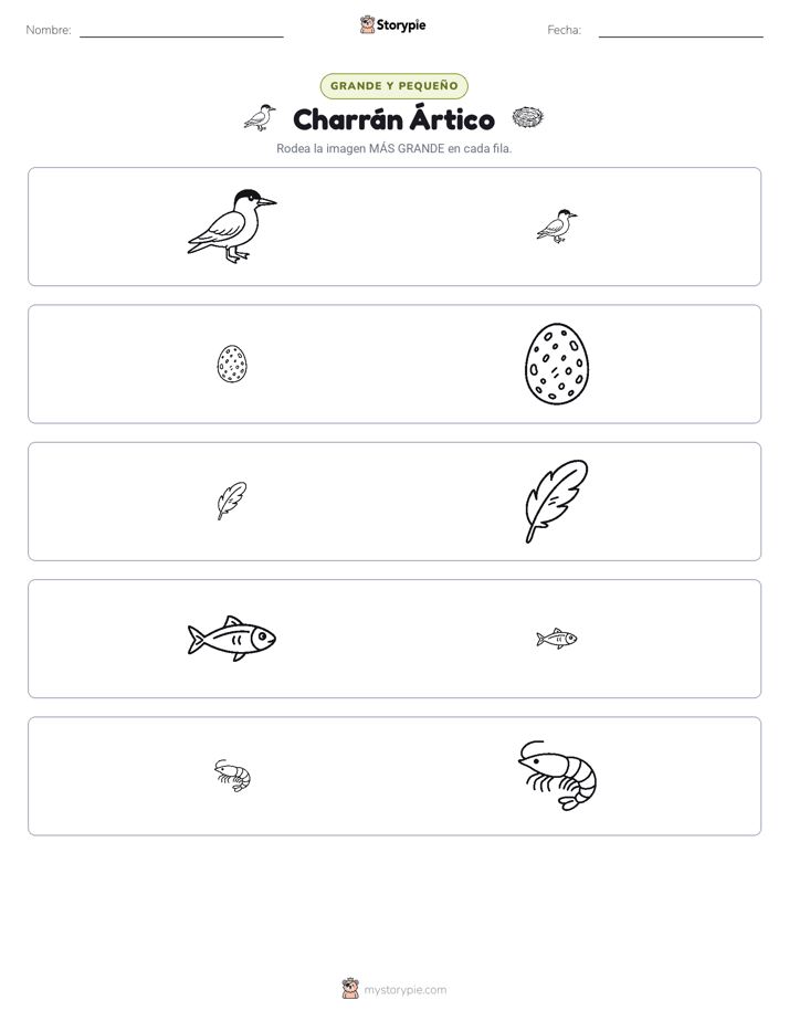 Clasificación