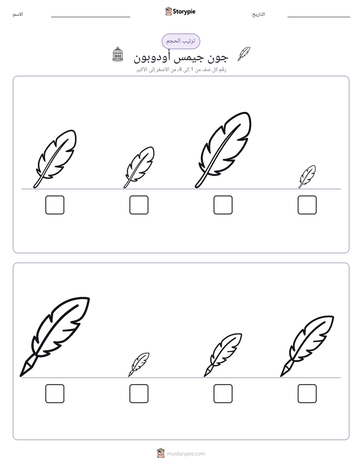 ترتيب الحجم
