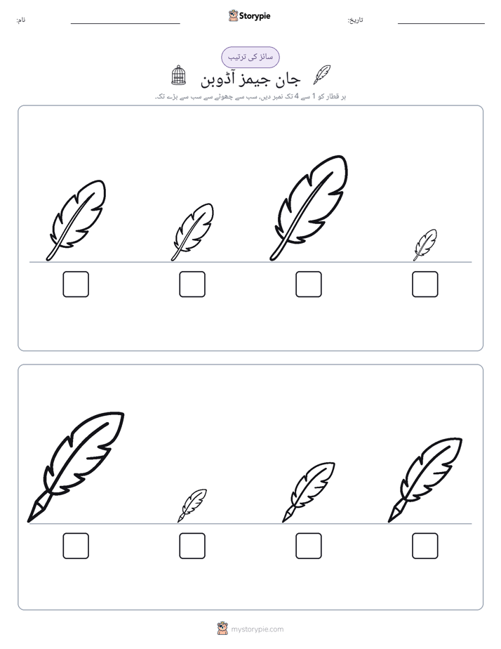 سائز کی ترتیب