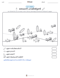 ബെഥനി ഹാമിൽട്ടൺ പ്രിന്റ് ചെയ്യാവുന്ന വർക്ക്‌ഷീറ്റ് മുൻകൂർ കാഴ്ച
