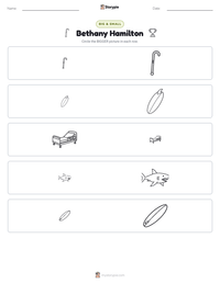 Bethany Hamilton printable worksheet preview