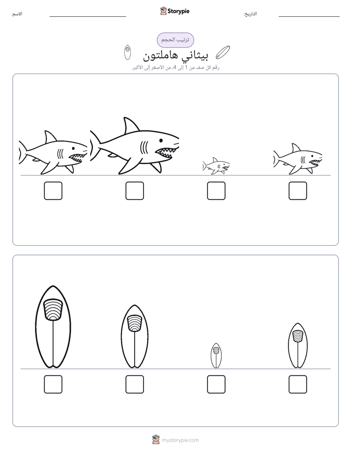 ترتيب الحجم
