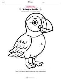 Atlantic Puffin coloring page for kids