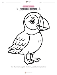 Pagina da colorare di Pulcinella di mare per bambini