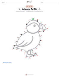 Atlantic Puffin printable worksheet preview