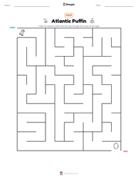 Atlantic Puffin printable worksheet preview