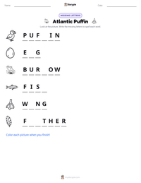 Atlantic Puffin printable worksheet preview