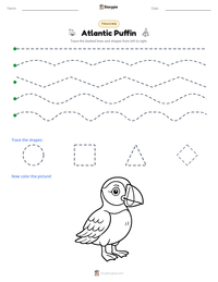 Atlantic Puffin printable worksheet preview