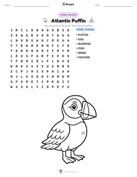 Atlantic Puffin printable worksheet preview