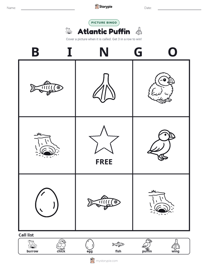 Picture Bingo