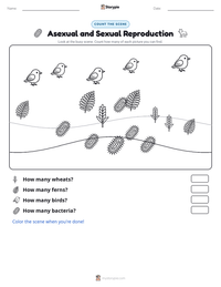 Asexual and Sexual Reproduction printable worksheet preview