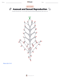 Asexual and Sexual Reproduction printable worksheet preview