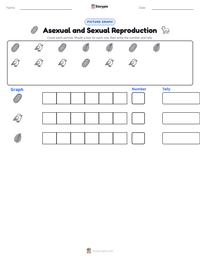 Asexual and Sexual Reproduction printable worksheet preview
