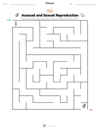 Asexual and Sexual Reproduction printable worksheet preview