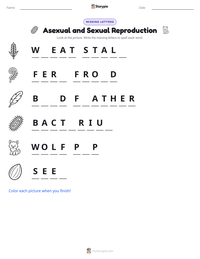 Asexual and Sexual Reproduction printable worksheet preview