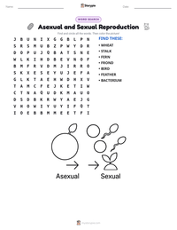 Asexual and Sexual Reproduction printable worksheet preview