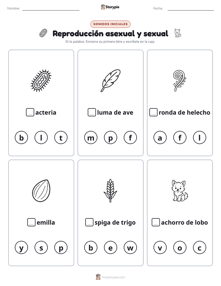 Sonidos Iniciales