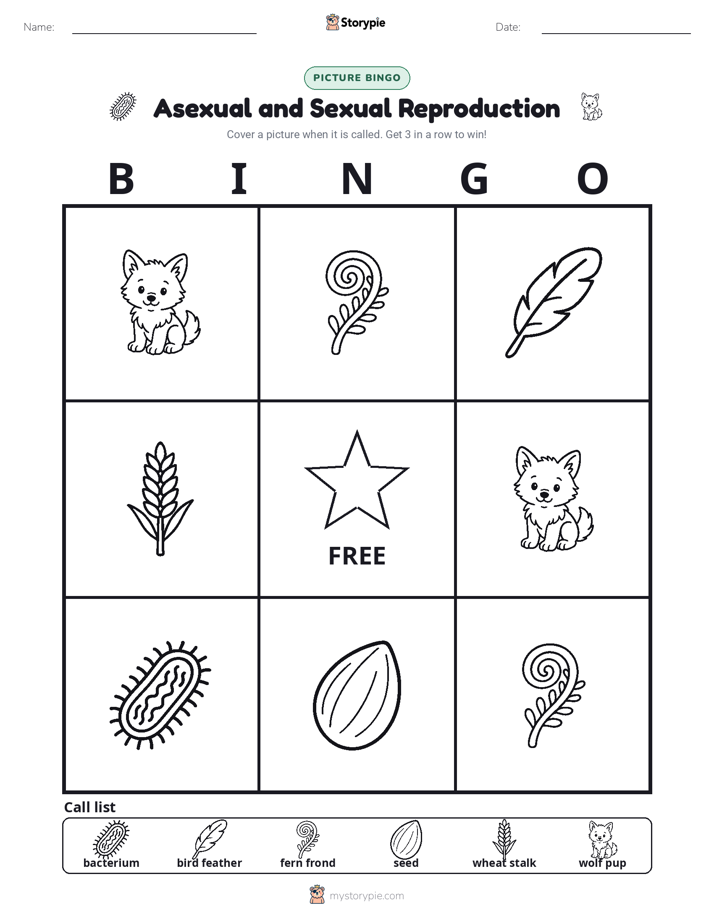Picture Bingo